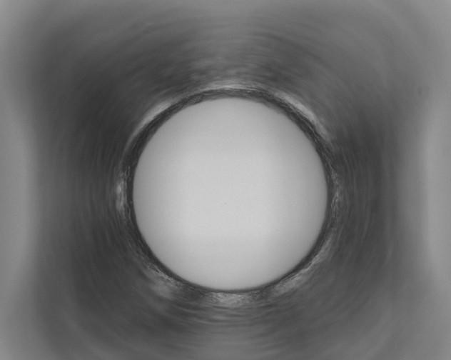 X0000111931258200908101135