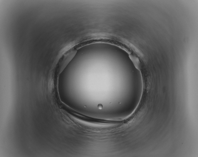 X0000111931261200908101135