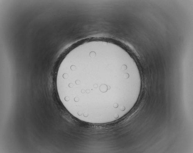 X0000111931263200908101135