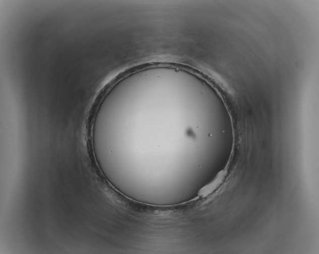 X0000111931264200908101135