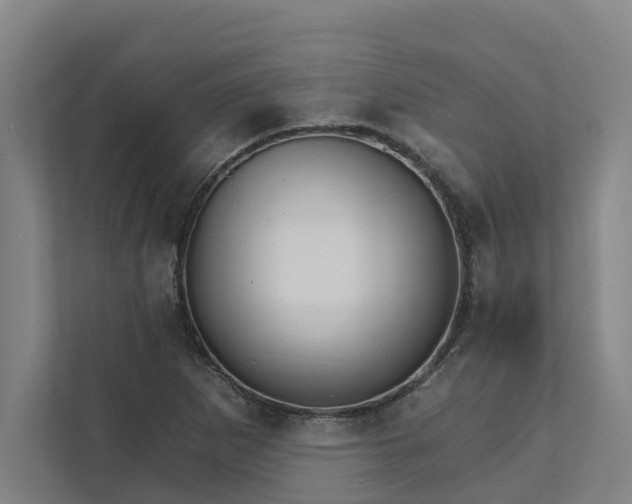 X0000111931265200908101135