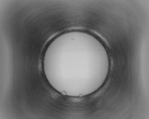 X0000111931266200908101135