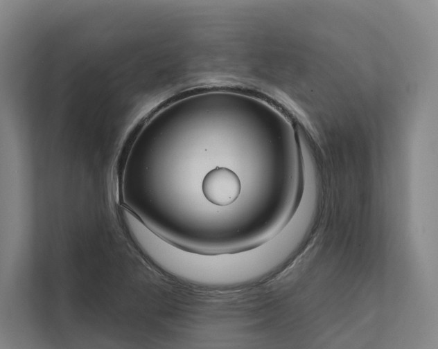 X0000111931269200908101134