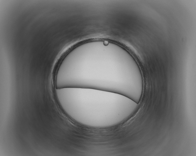 X0000111931270200908101134