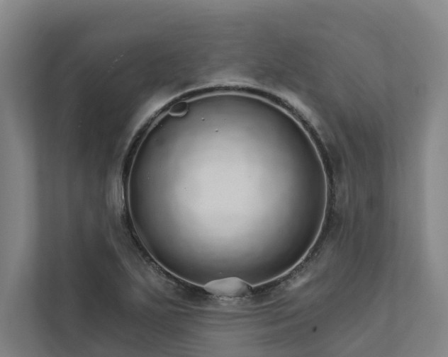 X0000111931271200908101134