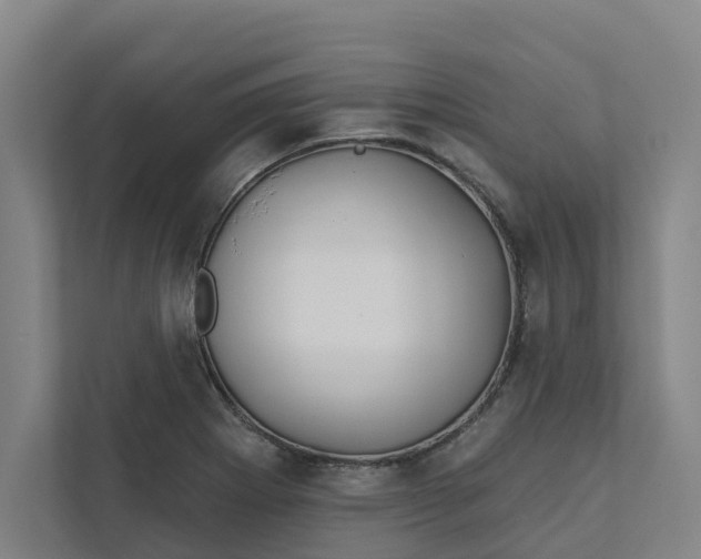 X0000111931273200908101134