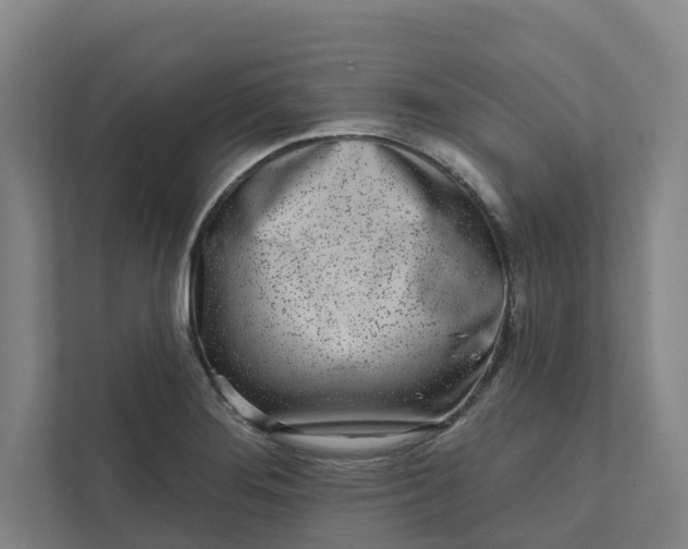 X0000111931276200908101134