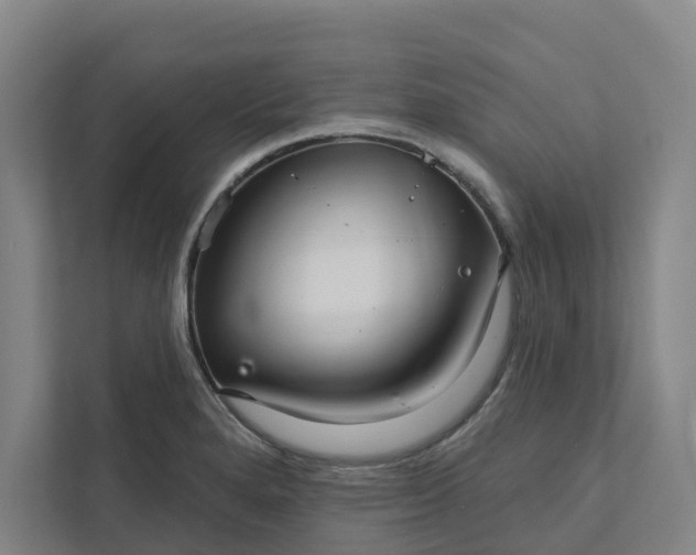 X0000111931280200908101134