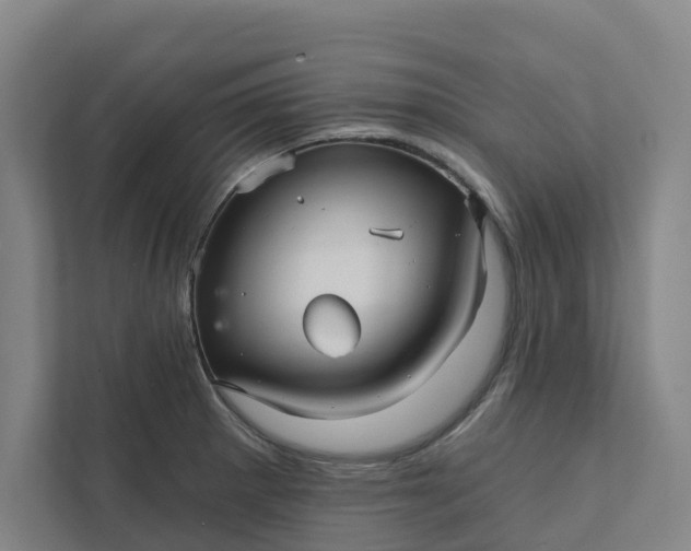 X0000111931281200908101134