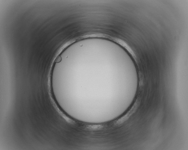 X0000111931282200908101134