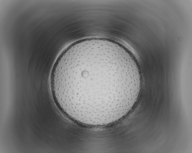 X0000111931283200908101134