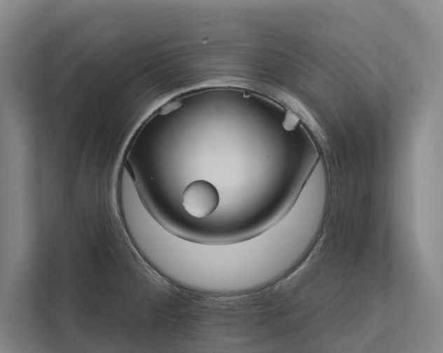 X0000111931284200908101134