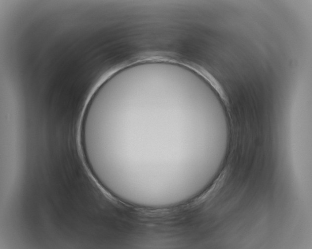 X0000111931285200908101134