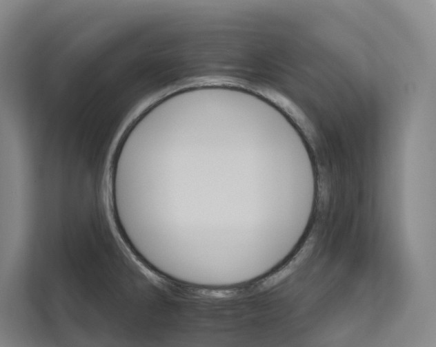 X0000111931286200908101134