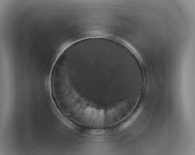 X0000111931291200908101134