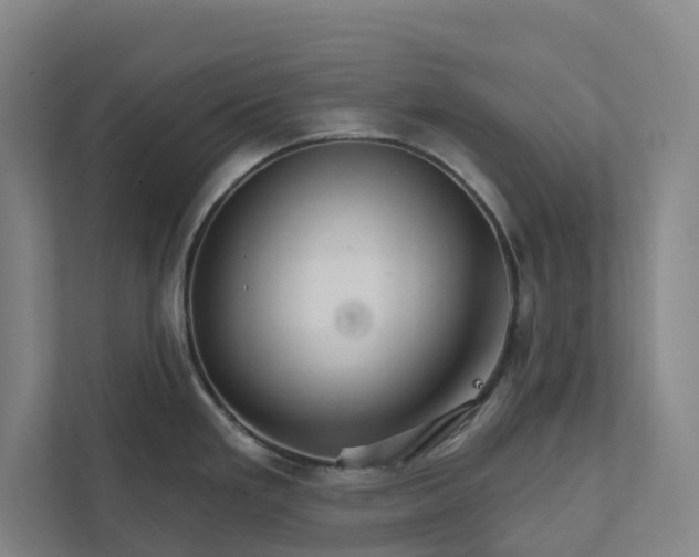 X0000111931293200908101134