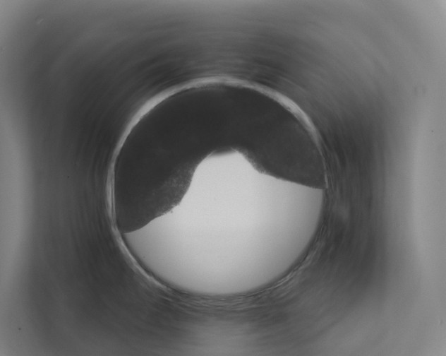 X0000111931295200908101134