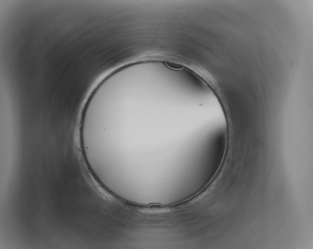 X0000111931296200908101134