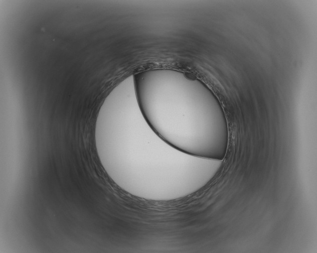 X0000111931298200908101134