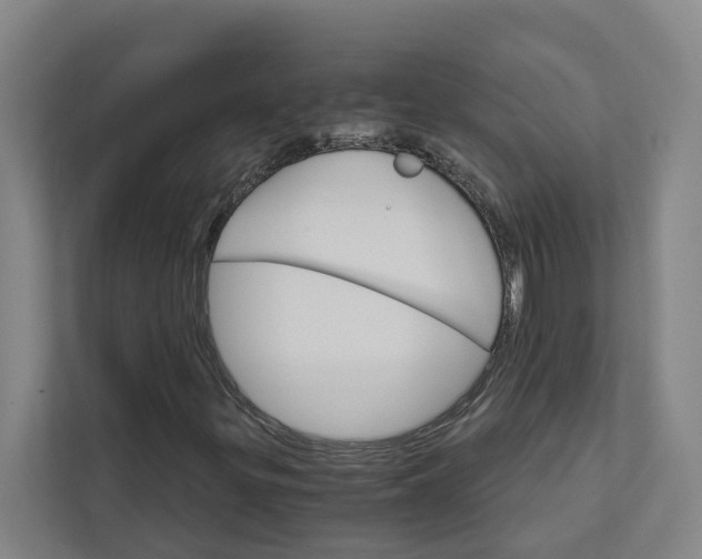 X0000111931299200908101134