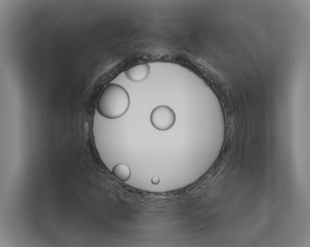 X0000111931302200908101134