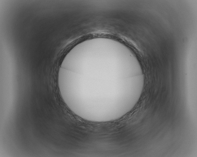 X0000111931303200908101134