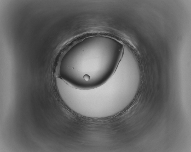 X0000111931304200908101134