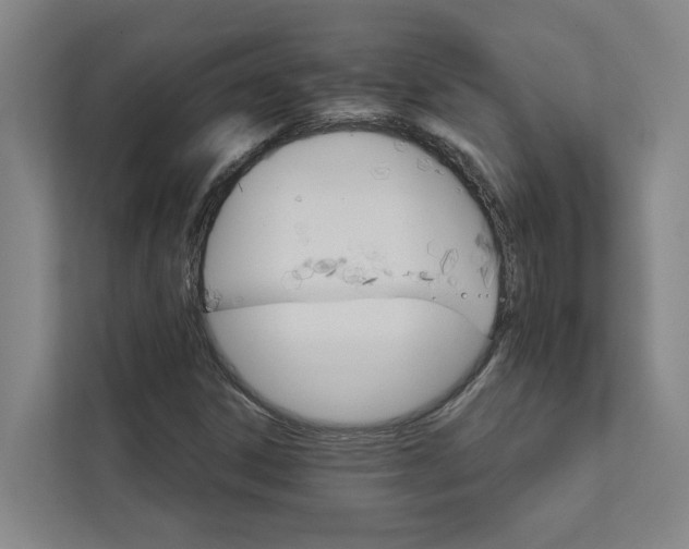 X0000111931306200908101134