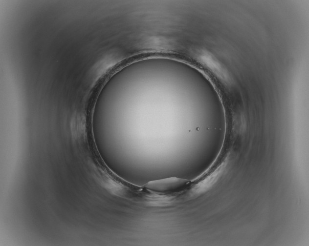 X0000111931307200908101134