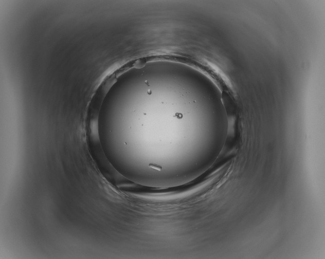 X0000111931308200908101134