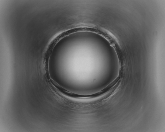 X0000111931310200908101134