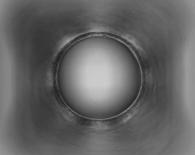 X0000111931311200908101134