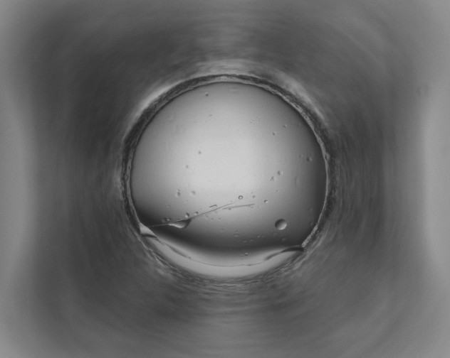 X0000111931312200908101134