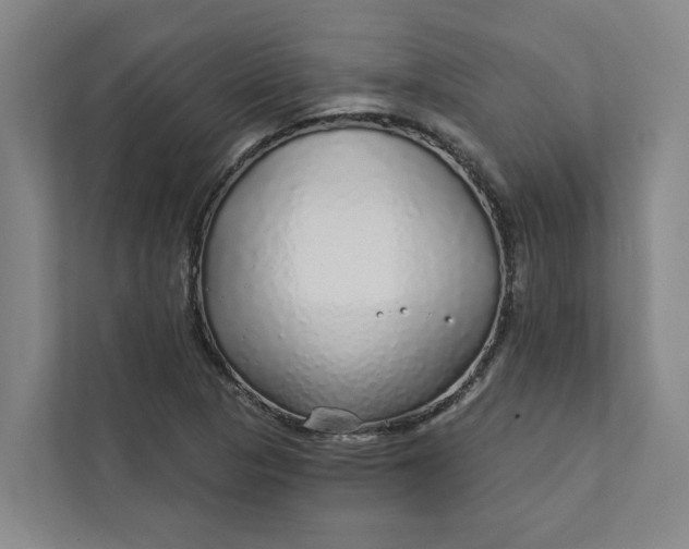 X0000111931313200908101134