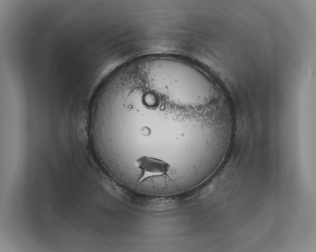 X0000111931314200908101134