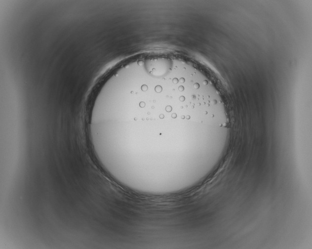 X0000111931315200908101134