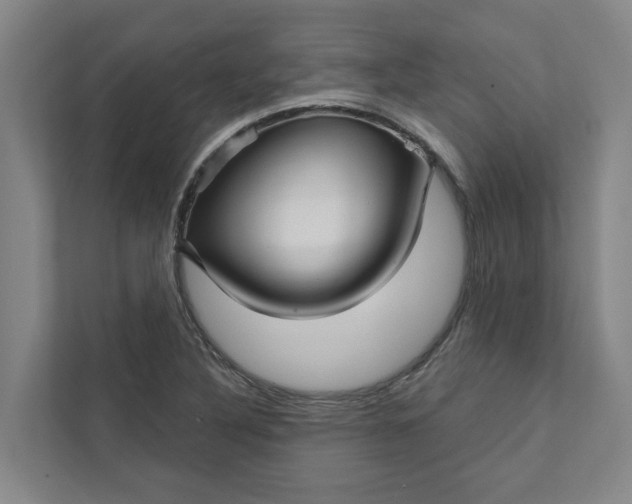 X0000111931316200908101134