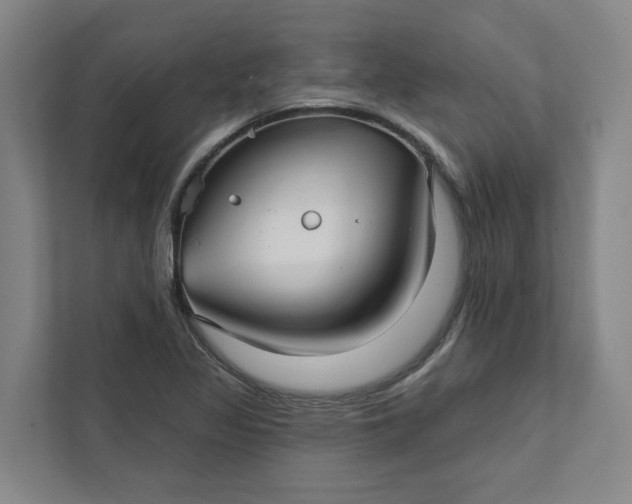 X0000111931317200908101134