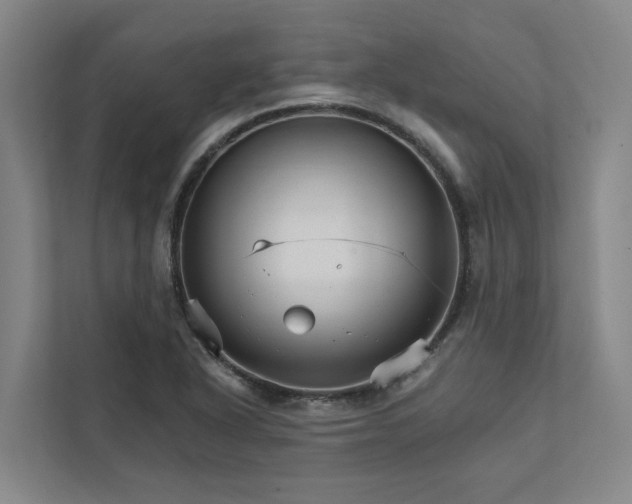 X0000111931318200908101134