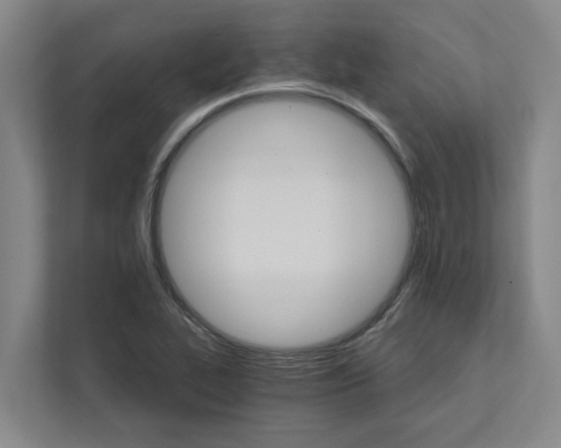 X0000111931319200908101134