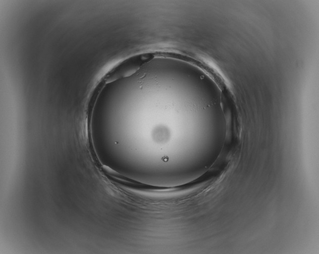 X0000111931320200908101134