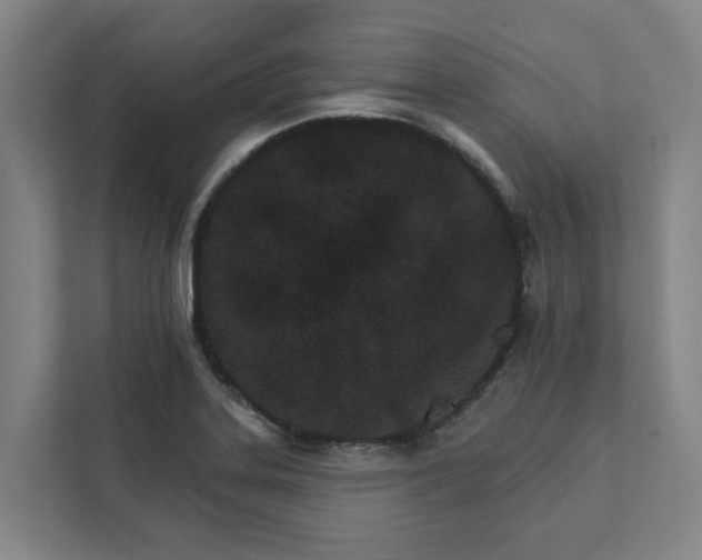 X0000111931323200908101134