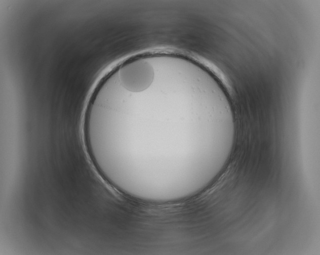 X0000111931327200908101134