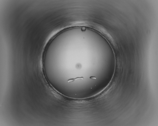 X0000111931328200908101134