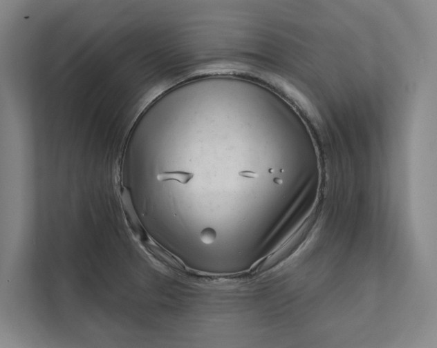 X0000111931329200908101134