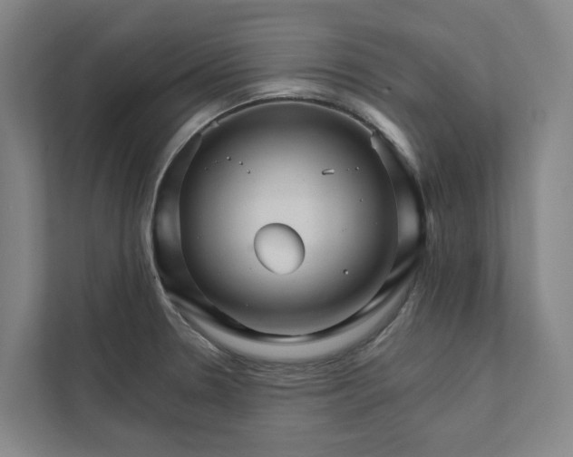 X0000111931330200908101134