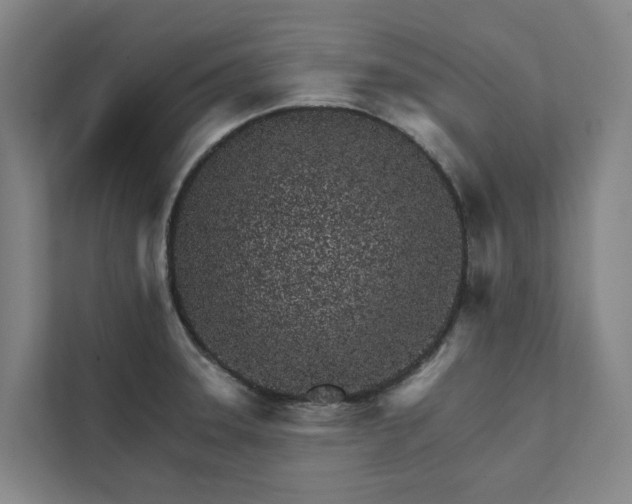 X0000111931331200908101134