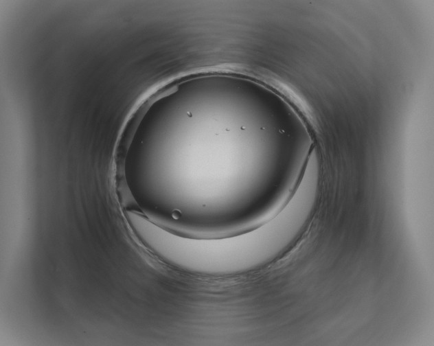 X0000111931332200908101134