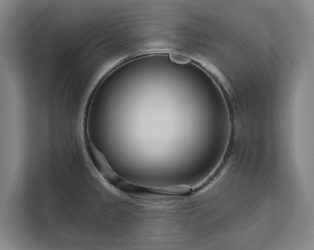 X0000111931333200908101134