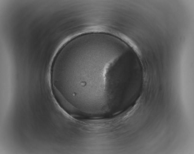 X0000111931334200908101134